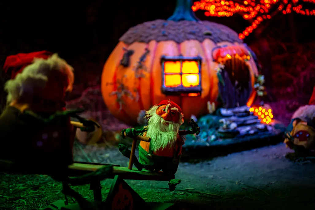 Gnome village with pumpkin houses in The Enchanted Forest