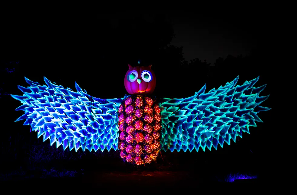 Giant glowing pumpkin owl in The Great Hall