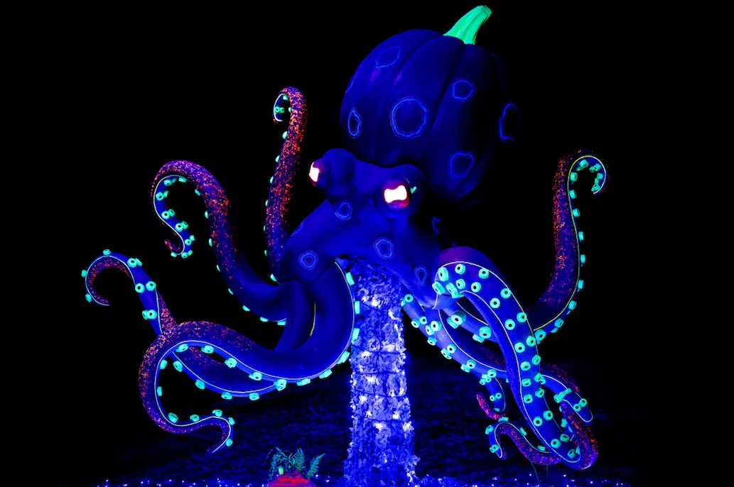 Glowing pumpkin octopus in Neon Reef