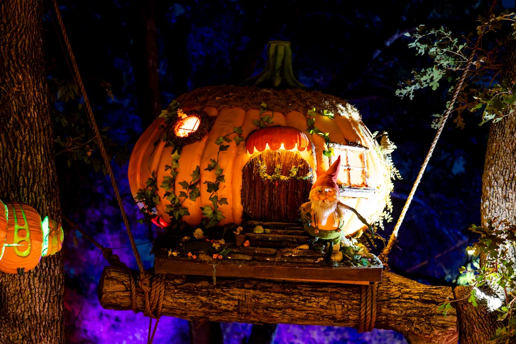 Forest of glowing carved pumpkins