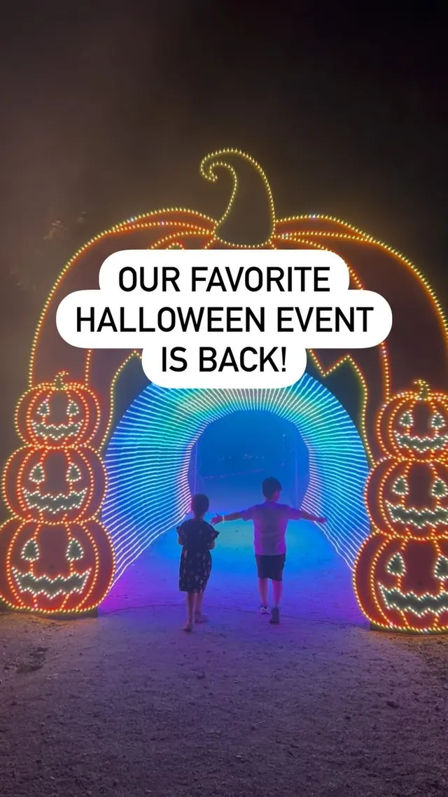 Pumpkin Nights reel on Instagram
