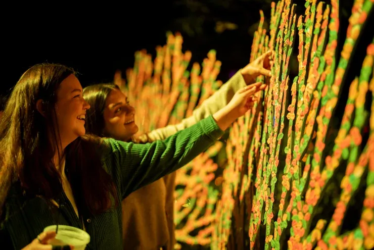 Maravilla Lane — girls placing leaves on the Family Tree