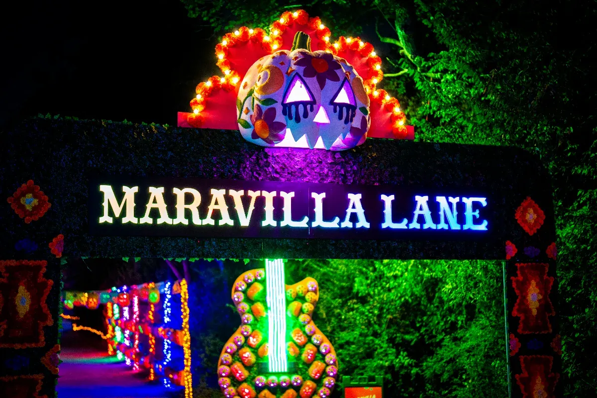 Maravilla Lane — Family Tree & mariachi band (landscape)